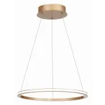 Подвесная люстра ST-Luce ST604 OUT ST604.243.22 