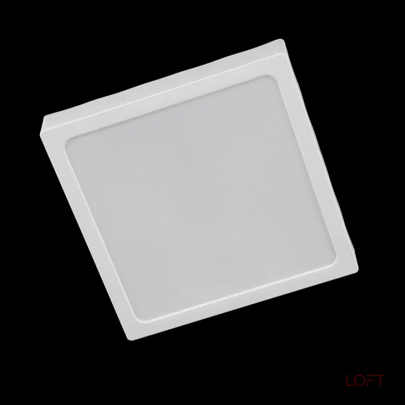 Накладной светильник Citilux Галс CL55K22N от ImperiumLoft