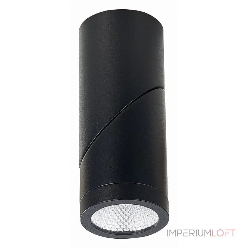 Светильник на штанге ST-Luce ST650 ST650.442.10 от ImperiumLoft