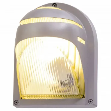 Накладной светильник Arte Lamp Urban A2802AL-1GY Цвет арматуры серый Цвет плафонов прозрачный Накладной светильник Arte Lamp Urban A2802AL-1GY Цвет арматуры серый Цвет плафонов прозрачный