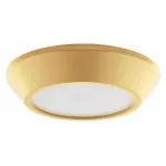 Накладной светильник Lightstar Urbano mini 214732 от ImperiumLoft