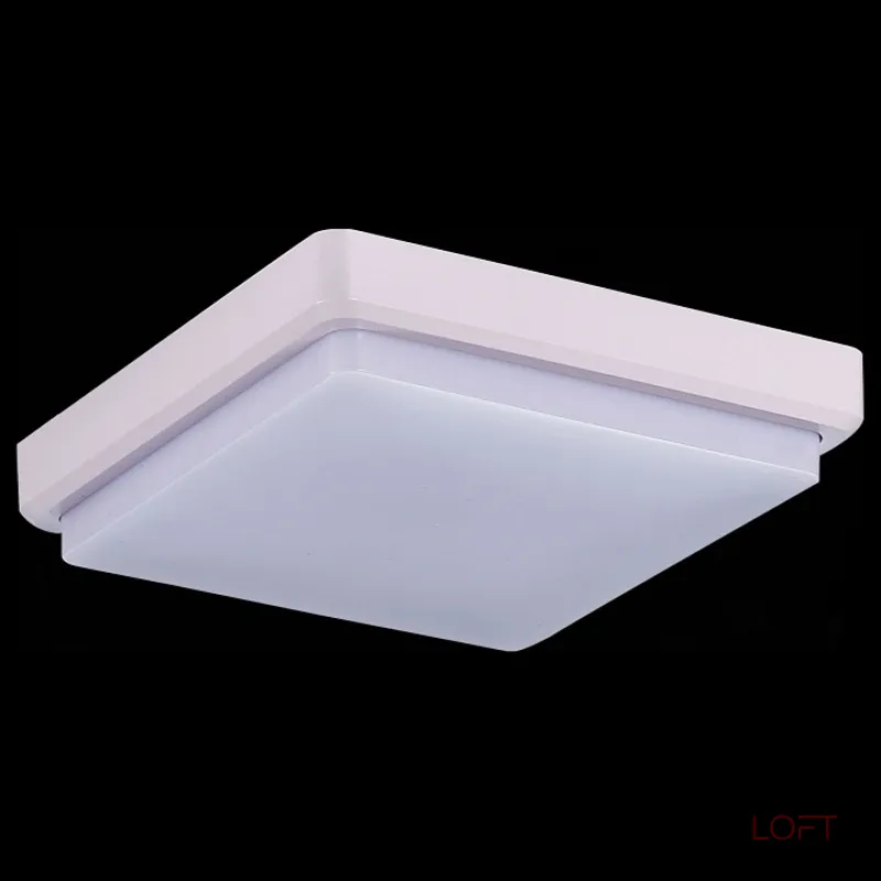 Потолочный светильник EVOLUCE Taddio SLE200212-01 Потолочный светильник EVOLUCE Taddio SLE200212-01