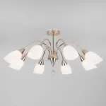 Потолочная люстра 30149/8