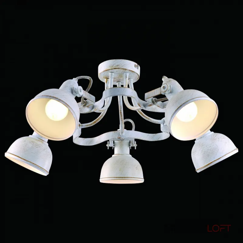 Потолочная люстра Arte Lamp Martin A5216PL-5WG Потолочная люстра Arte Lamp Martin A5216PL-5WG