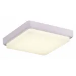 Потолочный светильник EVOLUCE Taddio SLE200212-01 