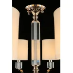 Люстра на штанге Aployt Ivet APL.706.07.08 