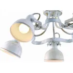 Потолочная люстра Arte Lamp Martin A5216PL-5WG 