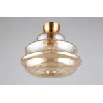 Накладной светильник Aployt Liana APL.303.17.01 от ImperiumLoft