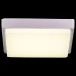 Потолочный светильник EVOLUCE Taddio SLE200212-01 