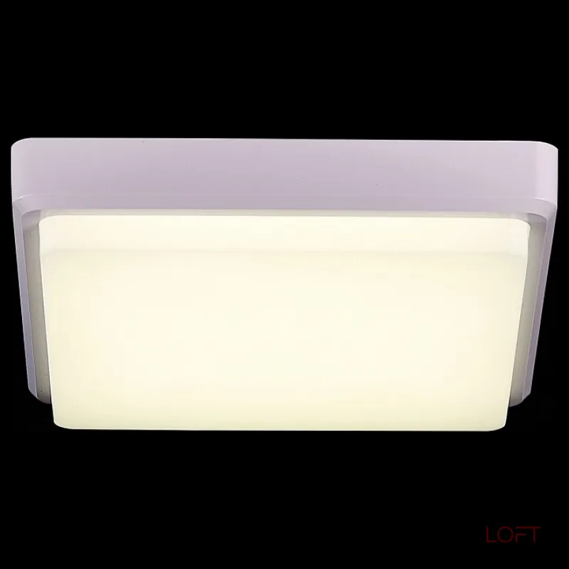 Потолочный светильник EVOLUCE Taddio SLE200212-01 Потолочный светильник EVOLUCE Taddio SLE200212-01