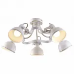 Потолочная люстра Arte Lamp Martin A5216PL-5WG 