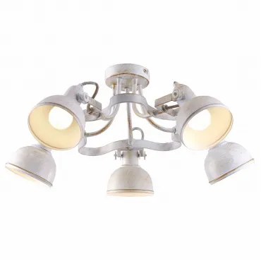Потолочная люстра Arte Lamp Martin A5216PL-5WG 