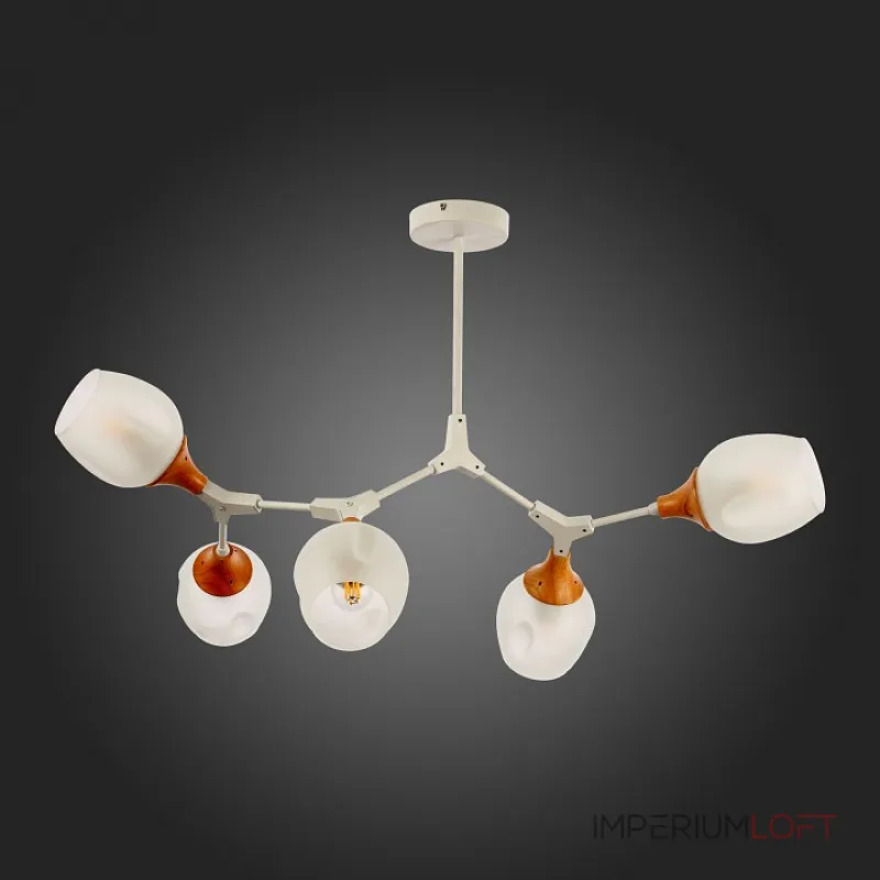 Люстра на штанге EVOLUCE Ciotolla SLE113502-05 