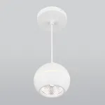 Подвесной светильник Elektrostandard DLS023 a047774 