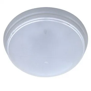 Накладной светильник Horoz Electric HRZ00001452 Цвет арматуры серебро Накладной светильник Horoz Electric HRZ00001452 Цвет арматуры серебро