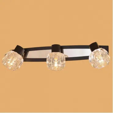 Спот Citilux Ровер CL530531 Цвет арматуры хром Цвет плафонов прозрачный Спот Citilux Ровер CL530531 Цвет арматуры хром Цвет плафонов прозрачный