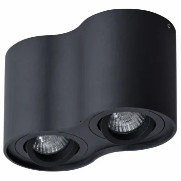 Накладной светильник Arte Lamp Falcon A5645PL-2BK Накладной светильник Arte Lamp Falcon A5645PL-2BK