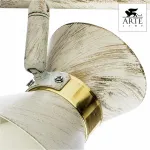 Спот Arte Lamp Baltimore A1406AP-2WG Цвет арматуры золото Цвет плафонов белый от ImperiumLoft