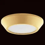 Накладной светильник Lightstar Urbano mini 214732 от ImperiumLoft