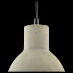 Подвесной светильник Maytoni Broni T434-PL-01-GR 