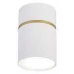 Накладной светильник Favourite Dunia 3067-1C от ImperiumLoft