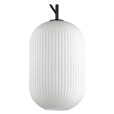 Подвесной светильник Odeon Light Roofi 4752/1 Подвесной светильник Odeon Light Roofi 4752/1