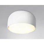 Накладной светильник Ambrella TN TN71001 от ImperiumLoft