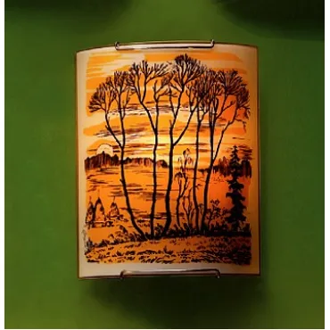 Накладной светильник Citilux 921 CL921017