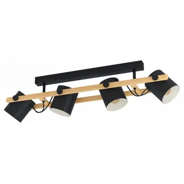 Светильник на штанге Eglo Hornwood 43558 Цвет плафонов черный