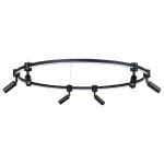 Подвесная люстра Arte Lamp Ring A2186SP-1BK