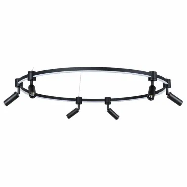 Подвесная люстра Arte Lamp Ring A2186SP-1BK