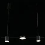 Подвесной светильник Aployt Frania APL.017.03.18