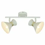 Спот Arte Lamp Baltimore A1406AP-2WG Цвет арматуры золото Цвет плафонов белый от ImperiumLoft