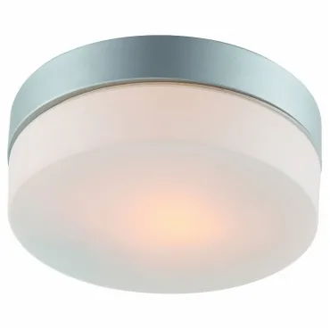 Потолочный светильник Arte Lamp Aqua A3211PL-1SI Потолочный светильник Arte Lamp Aqua A3211PL-1SI