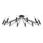 Потолочная люстра Maytoni MOD620CL-24B