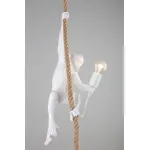 Подвесной светильник Aployt Magali APL.309.06.01 от ImperiumLoft