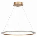 Подвесная люстра ST-Luce ST604 OUT ST604.243.34 