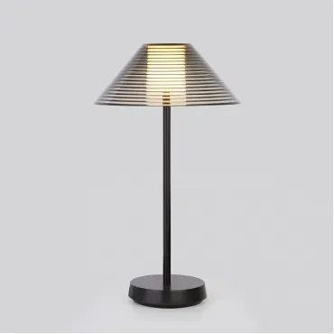 Настольная лампа декоративная Elektrostandard Mistery TL70210