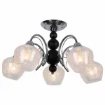 Потолочная люстра Lussole LGO GRLSP-8075