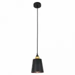 Подвесной светильник Lussole Shirley GRLSP-9861 