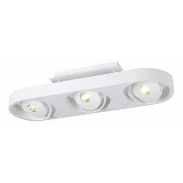 Светильник на штанге Donolux DL18697 DL18697/13WW-White Светильник на штанге Donolux DL18697 DL18697/13WW-White