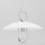 Подвесной светильник Alfa Chee 60624 