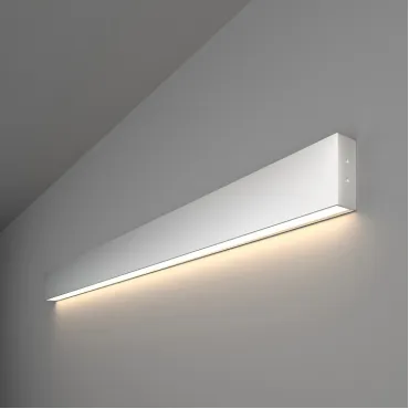 Накладной светильник Elektrostandard 101-100-30-103 a041481 Цвет арматуры серебро