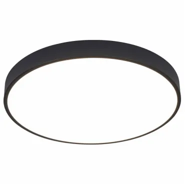 Накладной светильник Arte Lamp Arena A2672PL-1BK