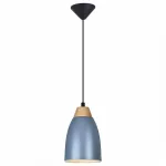 Подвесной светильник Leah TL0724H-2N Toplight