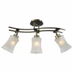 Потолочная люстра Citilux Мерида CL142133 