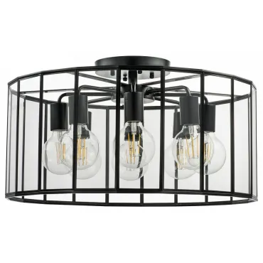 Потолочный светильник Lightstar Genni 798287 