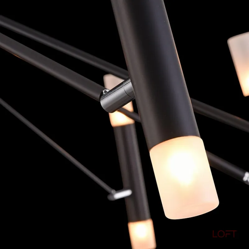 Потолочная люстра Maytoni MOD620CL-24B