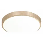 Потолочный светильник Sonex Losta 7607/AL