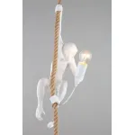 Подвесной светильник Aployt Magali APL.309.06.01 от ImperiumLoft